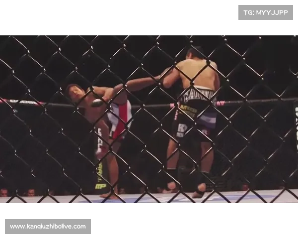 UFC尴尬名场面包括丹尼斯・霍尔曼的紧身三角裤事件